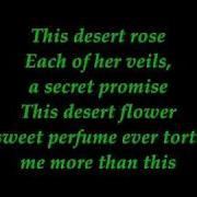 Sting Desert Rose Lyrics