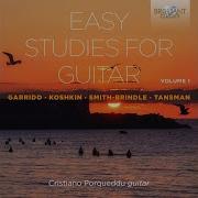 24 Easy Studies For Guitar Xi Without Landscape Cristiano Porqueddu