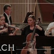 Bach In D Minor Bwv1043