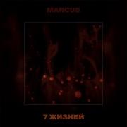 Карие Глаза Marcus