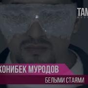 Чонибек Муродов
