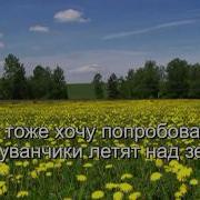 Одуванчик Ты Мой Одуванчик Караоке