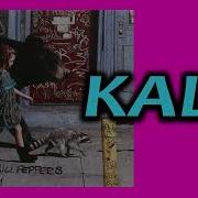 Red Hot Chili Peppers Kaly