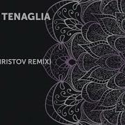 Danny Tenaglia Dibiza Metodi Hristov Remix