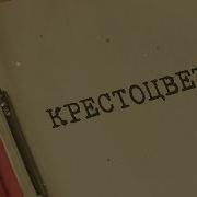 Вещдок Особый Случай 2019 Год