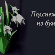 Одинокий Подснежник