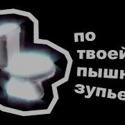 Польский Унитаз