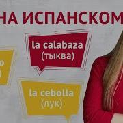 Название Продуктов На Испанском