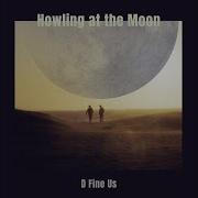 Howling At The Moon D Fine Us