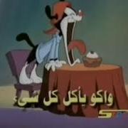 Animaniacs Intro Arabic