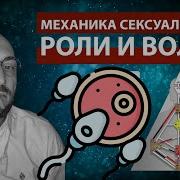 Механика Сексуальности