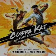 Mission Complete Cobra Kai Leo Birenberg Zach Robinson