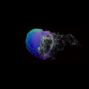 Eprom Pentatonic Dust