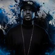 Ice Cube Crowded