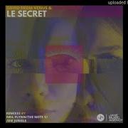 Le Secret Die Jungle Remix David From Venus Baridi Baridi