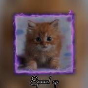 Симбочка Под Окошком Speed Up