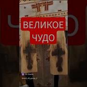 Православная Книга Во Спасения Души