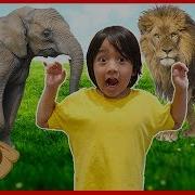 Learn Zoo Animals Educational Video For Children