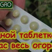 Полная Обработка