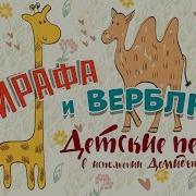 Жирафа Верблюда Альбом