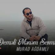 Demeli Menem Sevmediyin