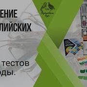 Рыба И Раки Технология Разведения