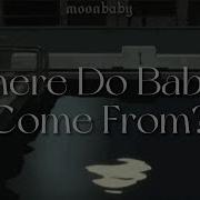 Where Do Babies Come From Song