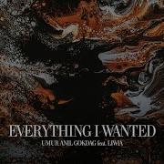 Everything I Wanted Umur Anil Gokdag Liwia