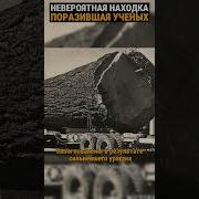 Рассказы Про Деревья