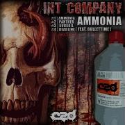 Int Company Ammonia