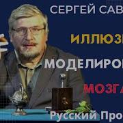 Сергей Савельев Иллюзии Моделирования Мозга