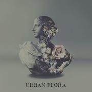 Drift Galimatias Alina Baraz