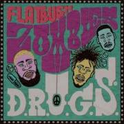 Flatbush Zombies D R U G S Full Album