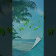 Лето Поделись Хорошим