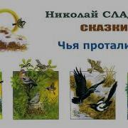 Николай Сладков