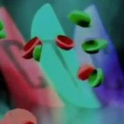 Рекламная Служба Стс 1996