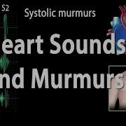 Murmur