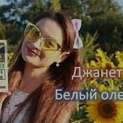 Белый Олеандр Книга