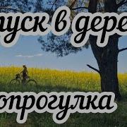 Работа Моих Подписчиков