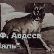 Писатель Виктор Авдеев