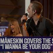 Måneskin I Wanna Be Your Dog