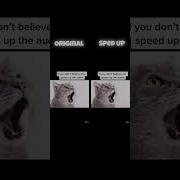 Speed Up Tik Too Part 2 Meow