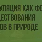 Популяция Как Форма Существования Вида