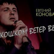 Евгений Карнавалов