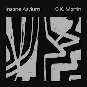 Insane Asylum New C K Martin