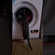 Ау Люди Вы Где