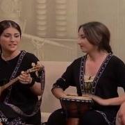 Гогочуреби Кавказиони
