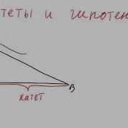 Катет И Гипотенуза