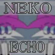 Neko Echo Meme