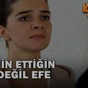 Asli Efe